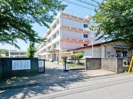 ӊ@ywZzs掵wZF400m