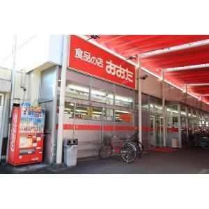 ӊ@yX[p[zHi̓X_XF10m