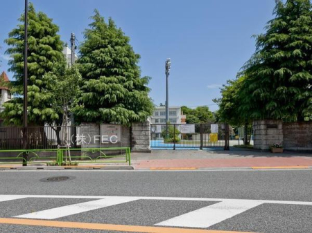 ӊ@ywZzs掵wZF407m