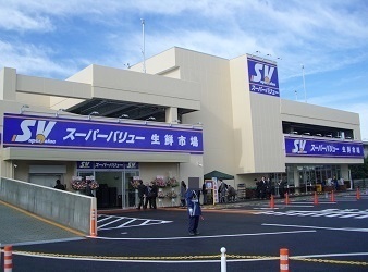 ӊ@yX[p[zX[p[o[XF624m